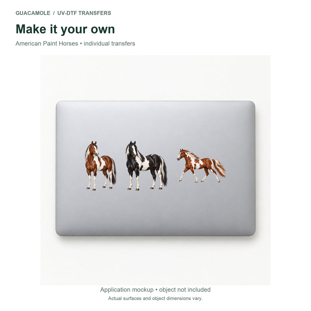 American Paint Horses — Three designs on a laptop