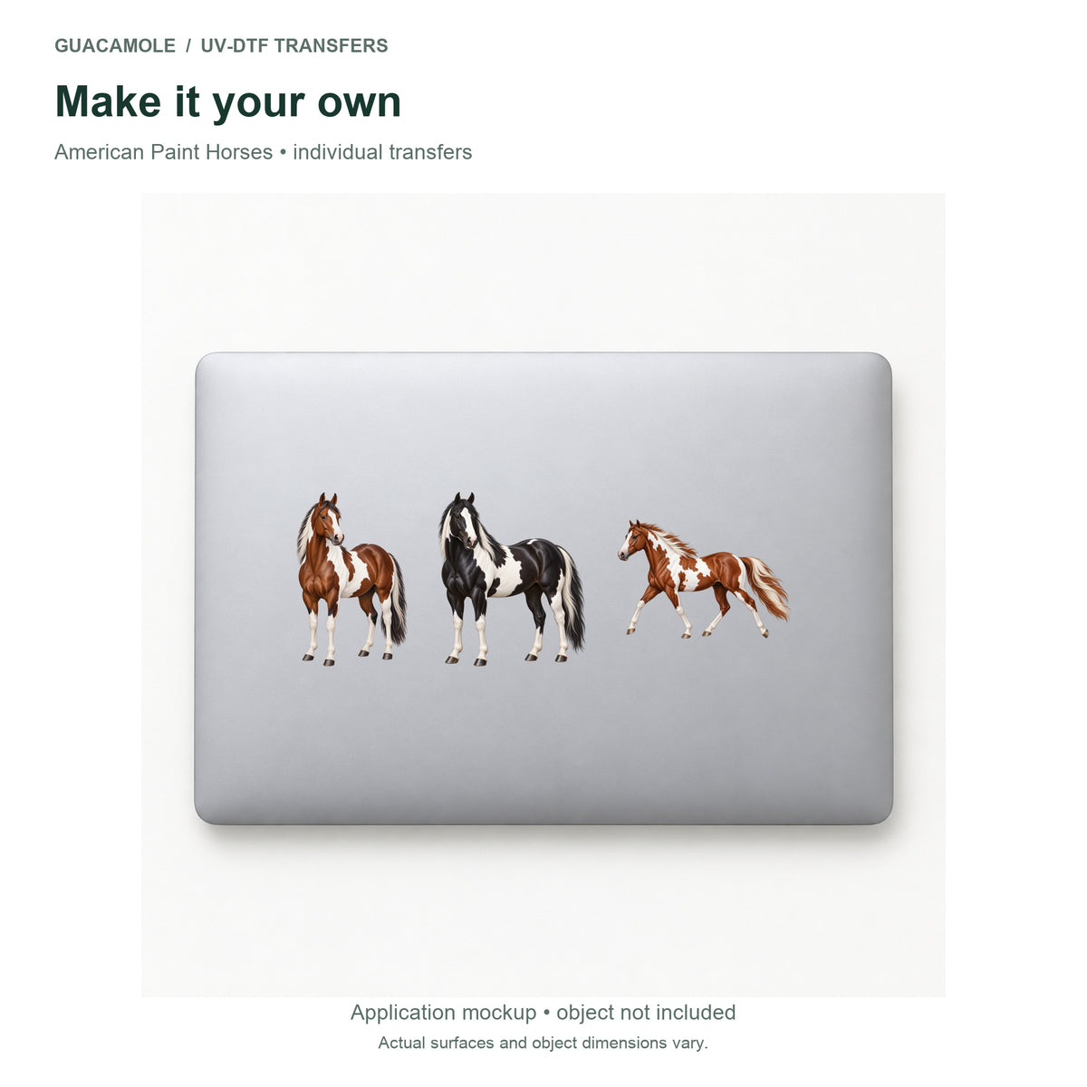 American Paint Horses — Three designs on a laptop