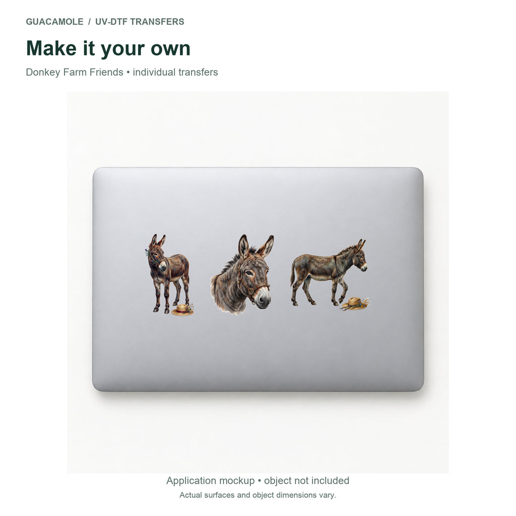 Donkey Farm Friends — Three designs on a laptop