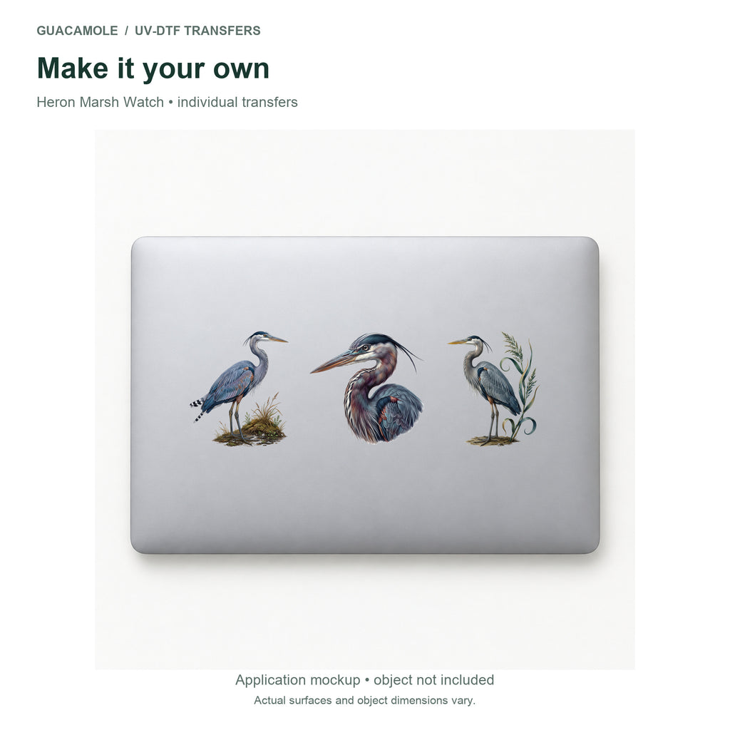 Heron Marsh Watch — Three designs on a laptop