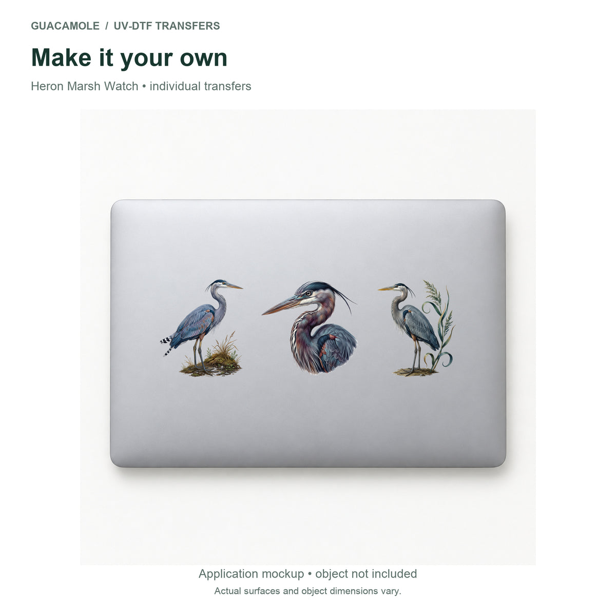 Heron Marsh Watch — Three designs on a laptop
