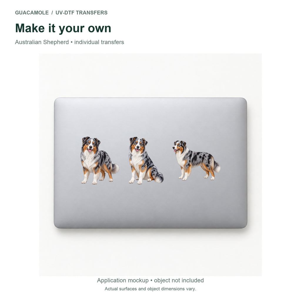 Australian Shepherd — Three designs on a laptop
