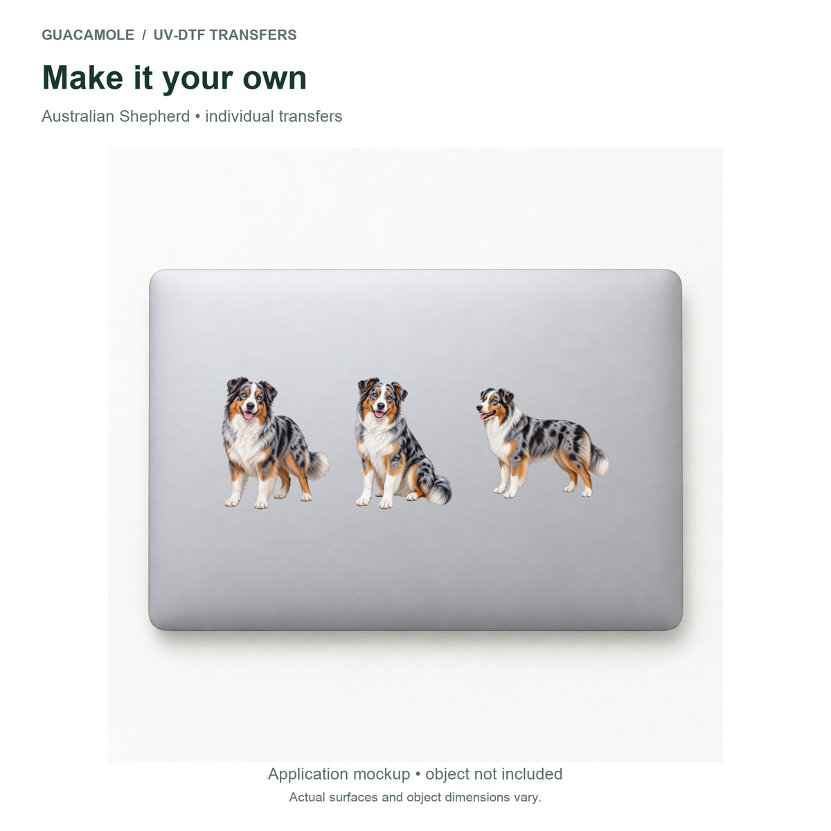 Australian Shepherd — Three designs on a laptop