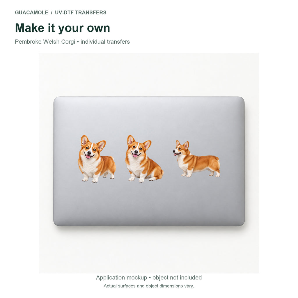 Pembroke Welsh Corgi — Three designs on a laptop