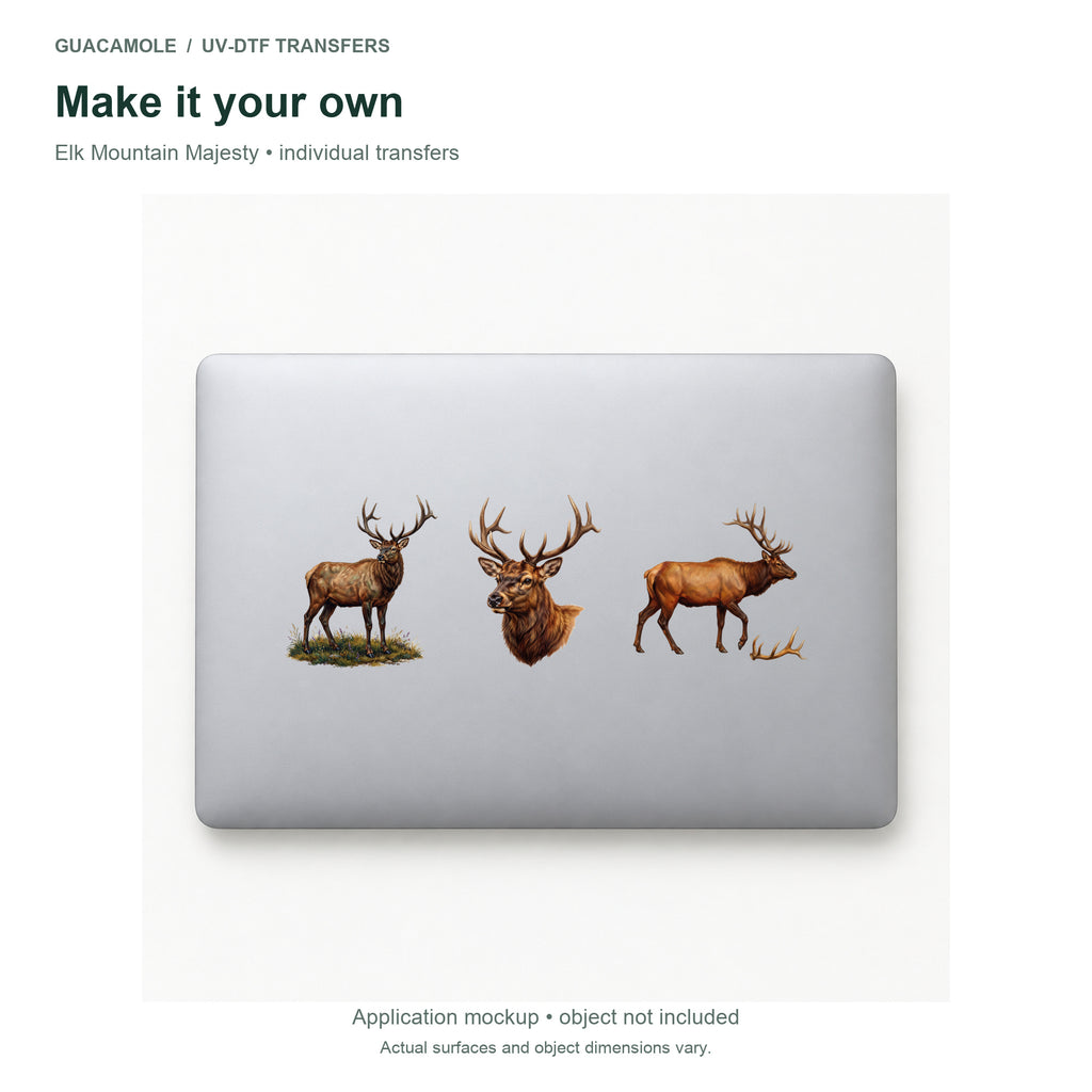 Elk Mountain Majesty — Three designs on a laptop