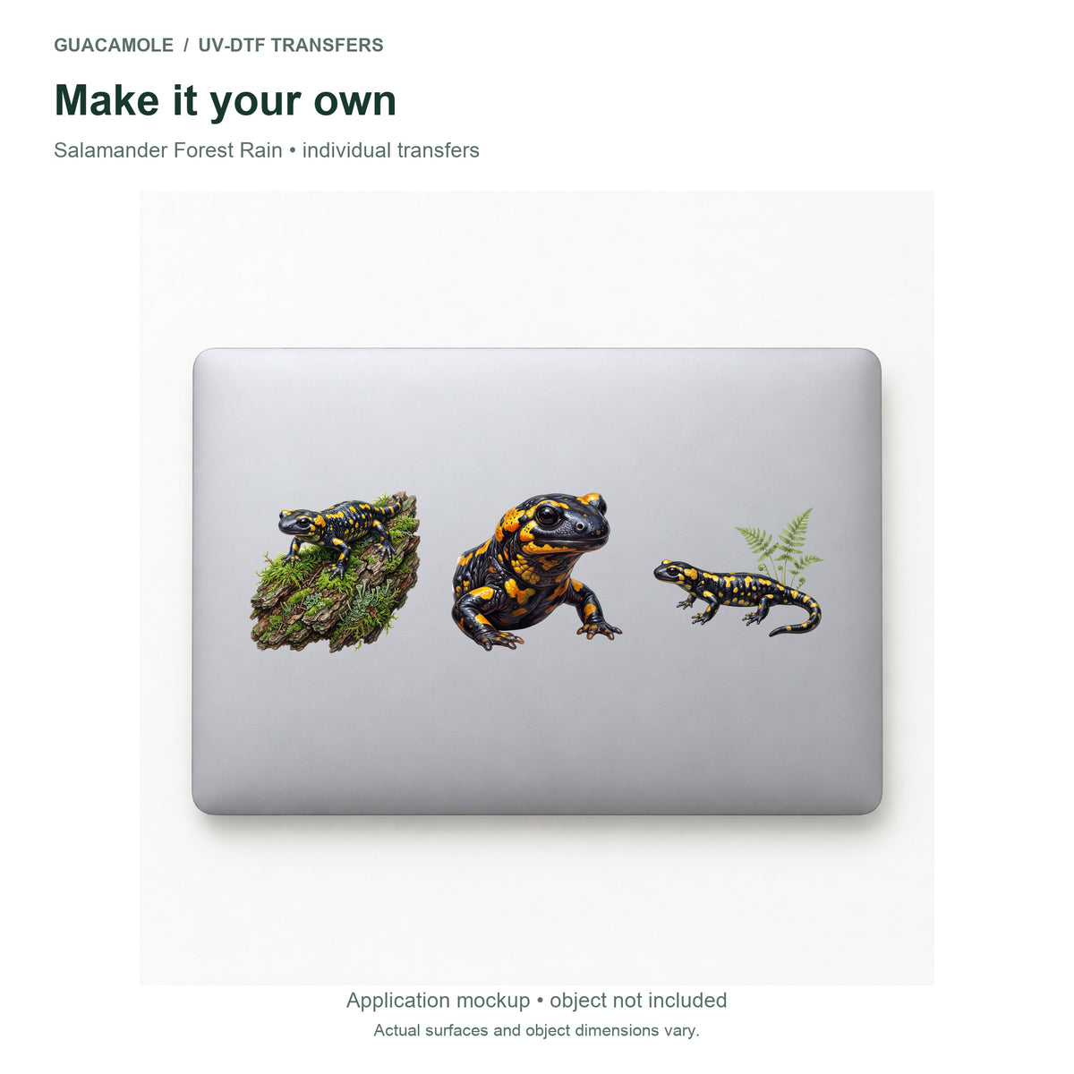 Salamander Forest Rain — Three designs on a laptop