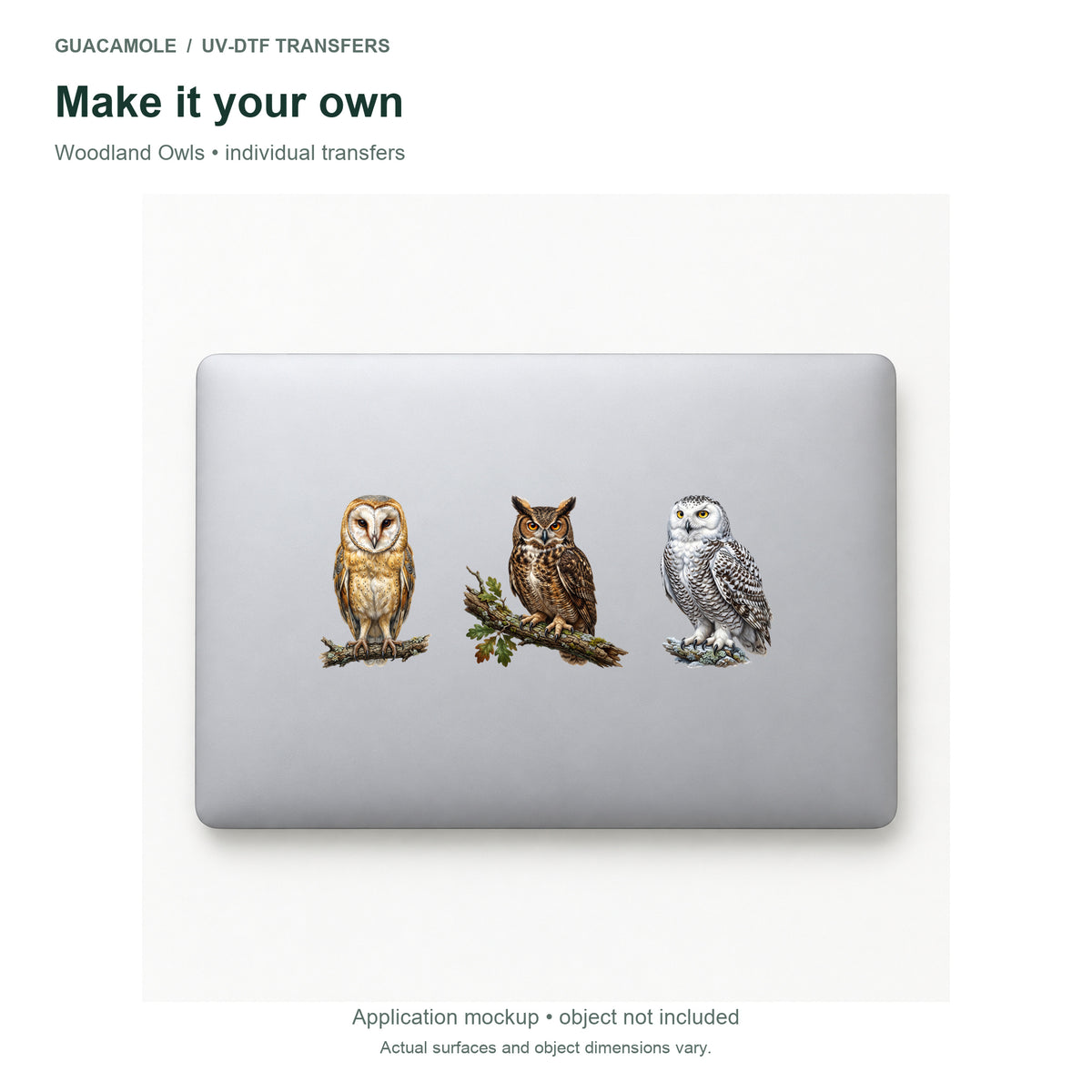 Woodland Owls — Three designs on a laptop