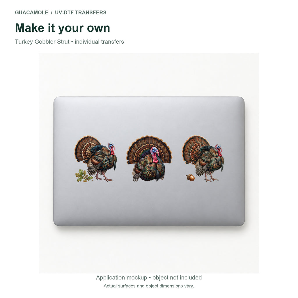 Turkey Gobbler Strut — Three designs on a laptop
