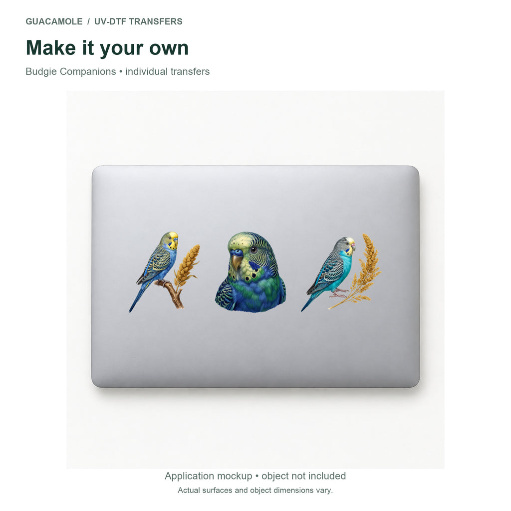 Budgie Companions — Three designs on a laptop