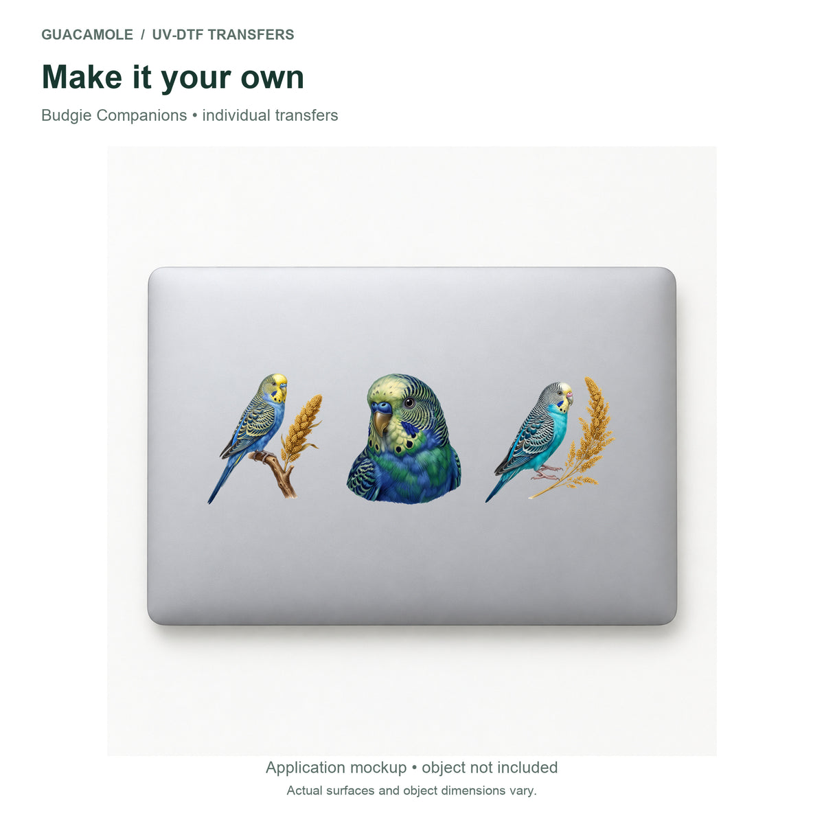 Budgie Companions — Three designs on a laptop