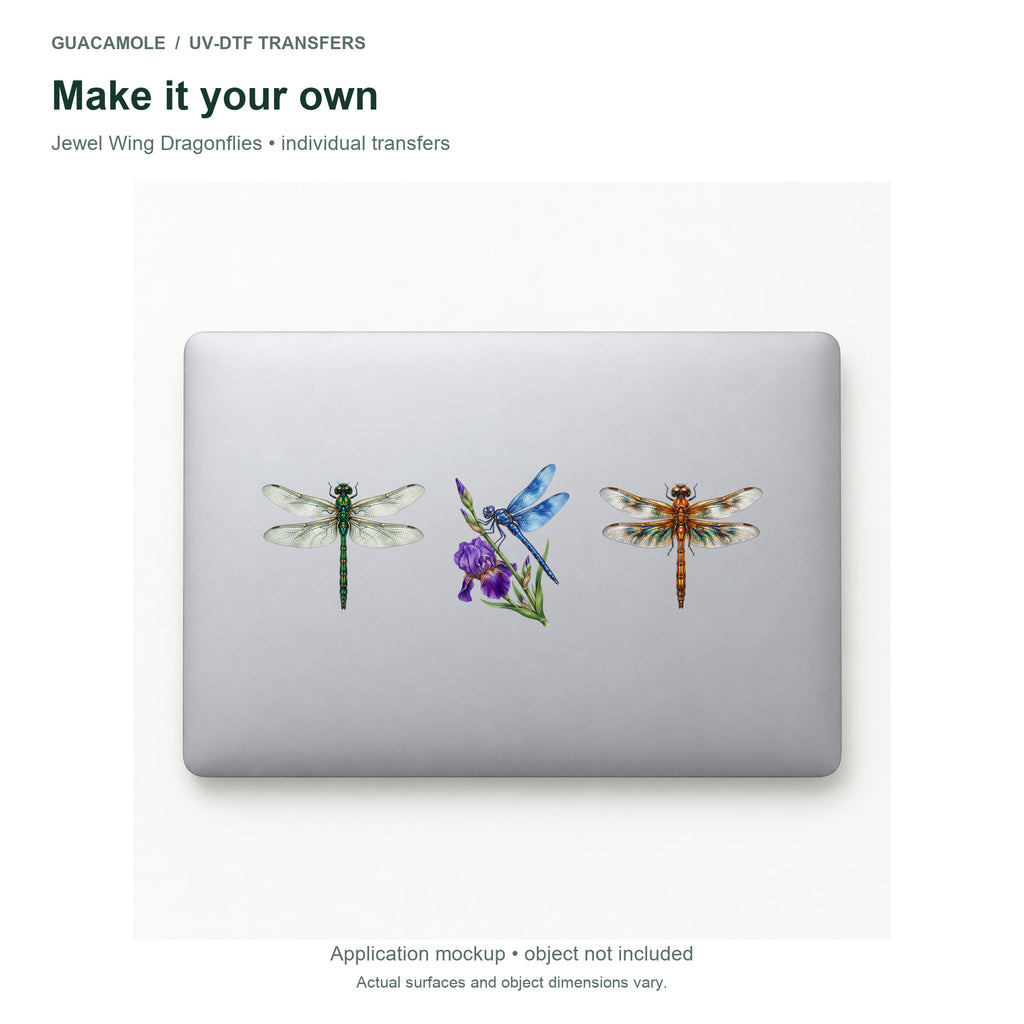 Jewel Wing Dragonflies — Three designs on a laptop