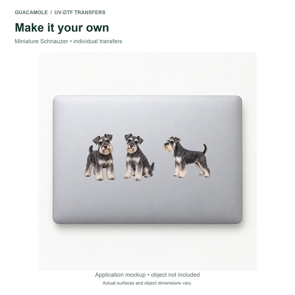 Miniature Schnauzer — Three designs on a laptop