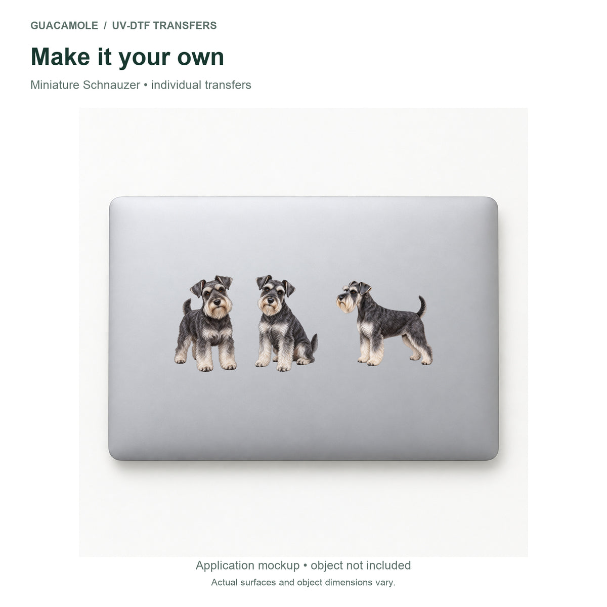 Miniature Schnauzer — Three designs on a laptop