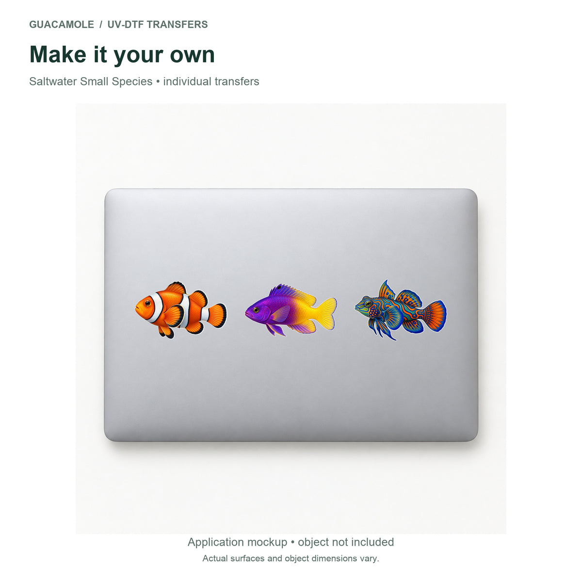 Saltwater Small Species — Three designs on a laptop
