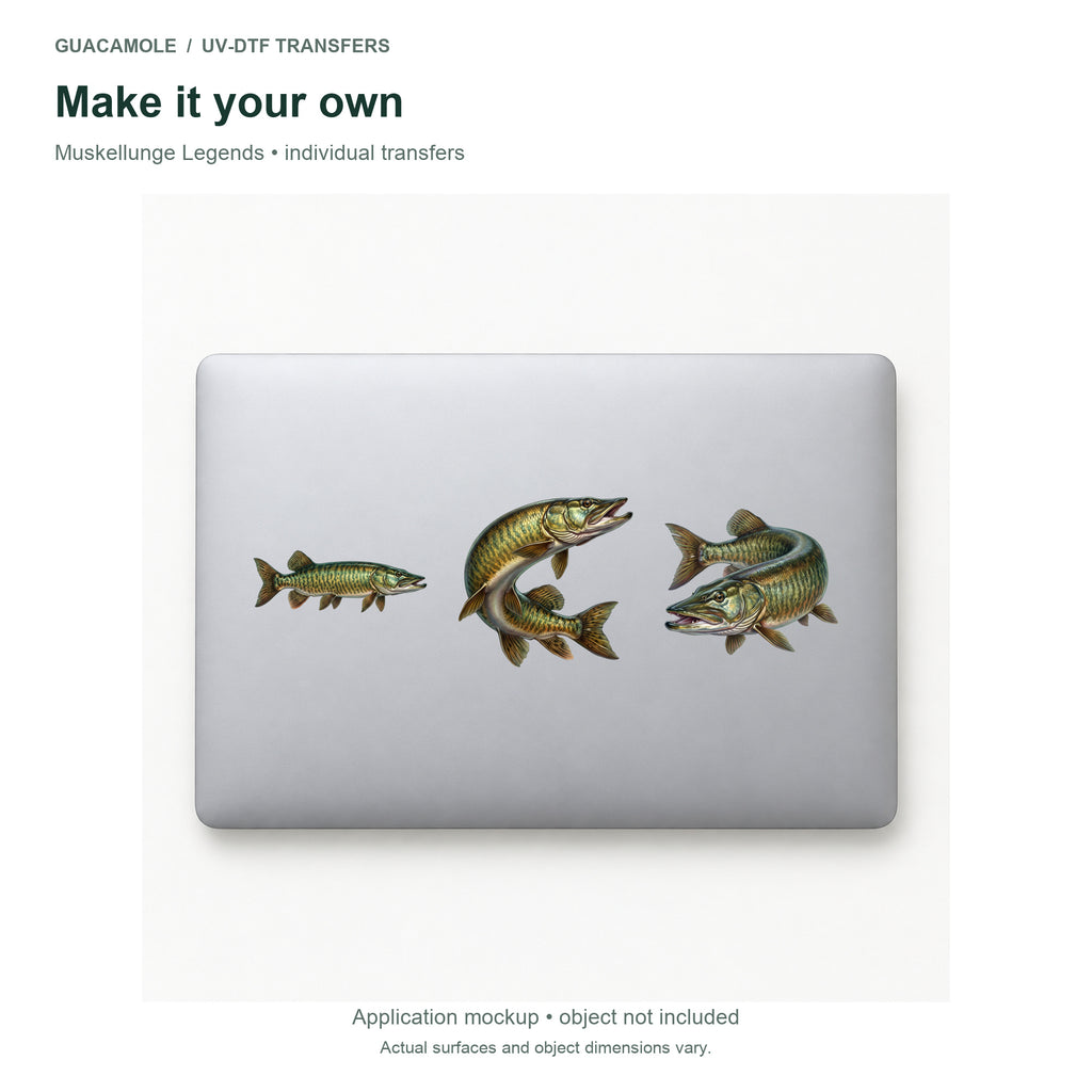 Muskellunge Legends — Three designs on a laptop