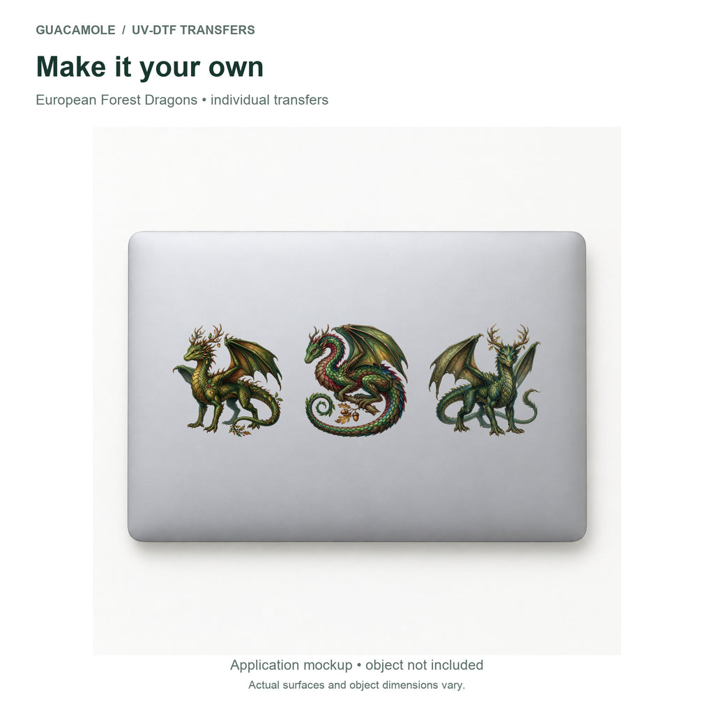 European Forest Dragons — Three designs on a laptop