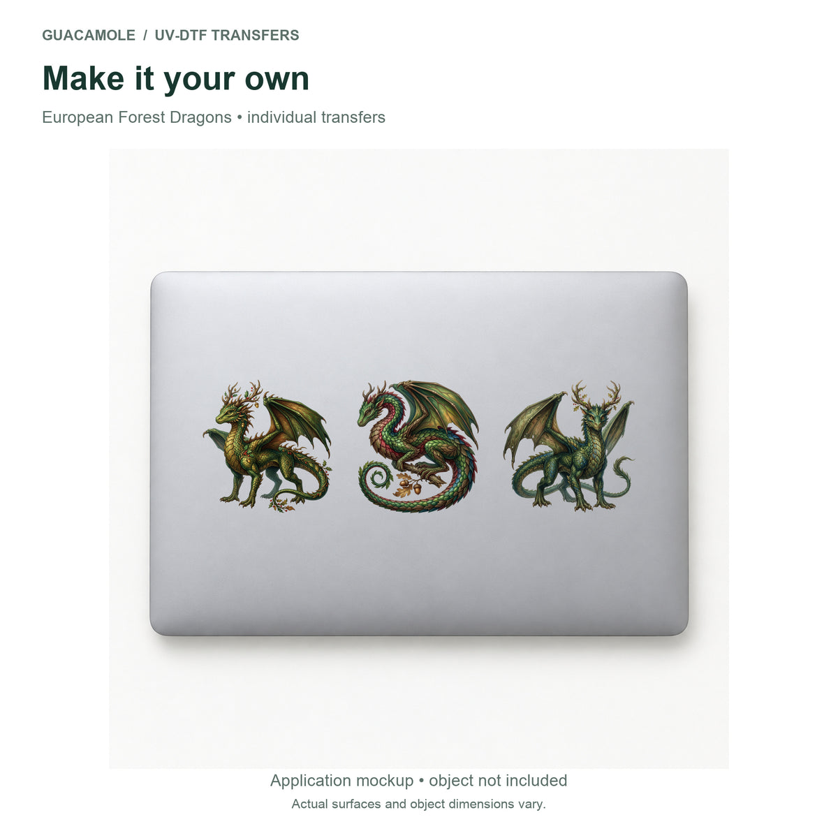 European Forest Dragons — Three designs on a laptop