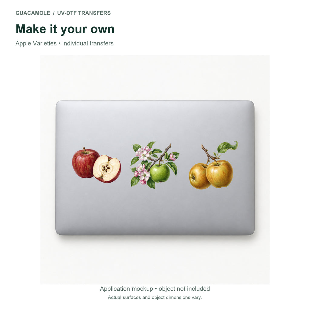 Apple Varieties — Three designs on a laptop