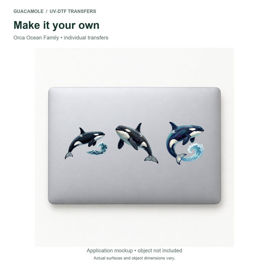 Orca Ocean Family — Three designs on a laptop
