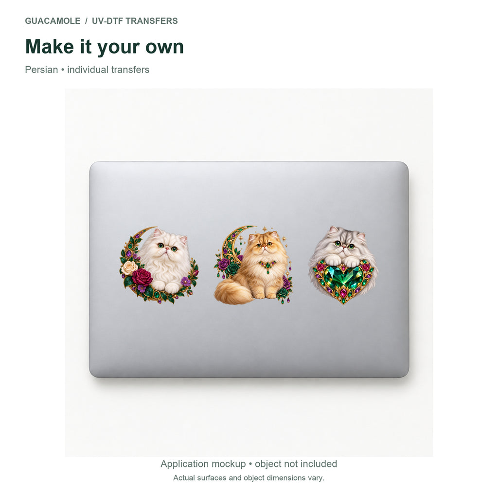 Persian — Three designs on a laptop