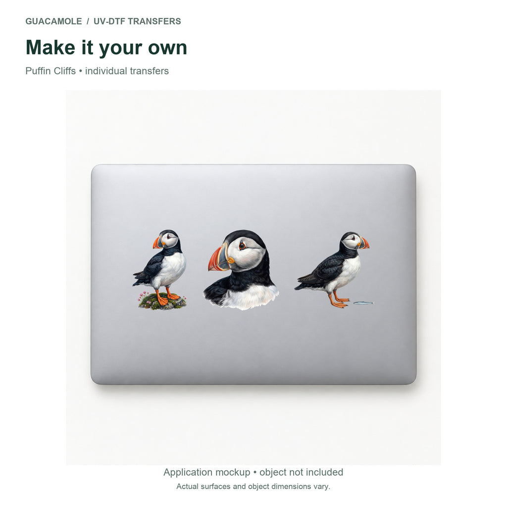Puffin Cliffs — Three designs on a laptop
