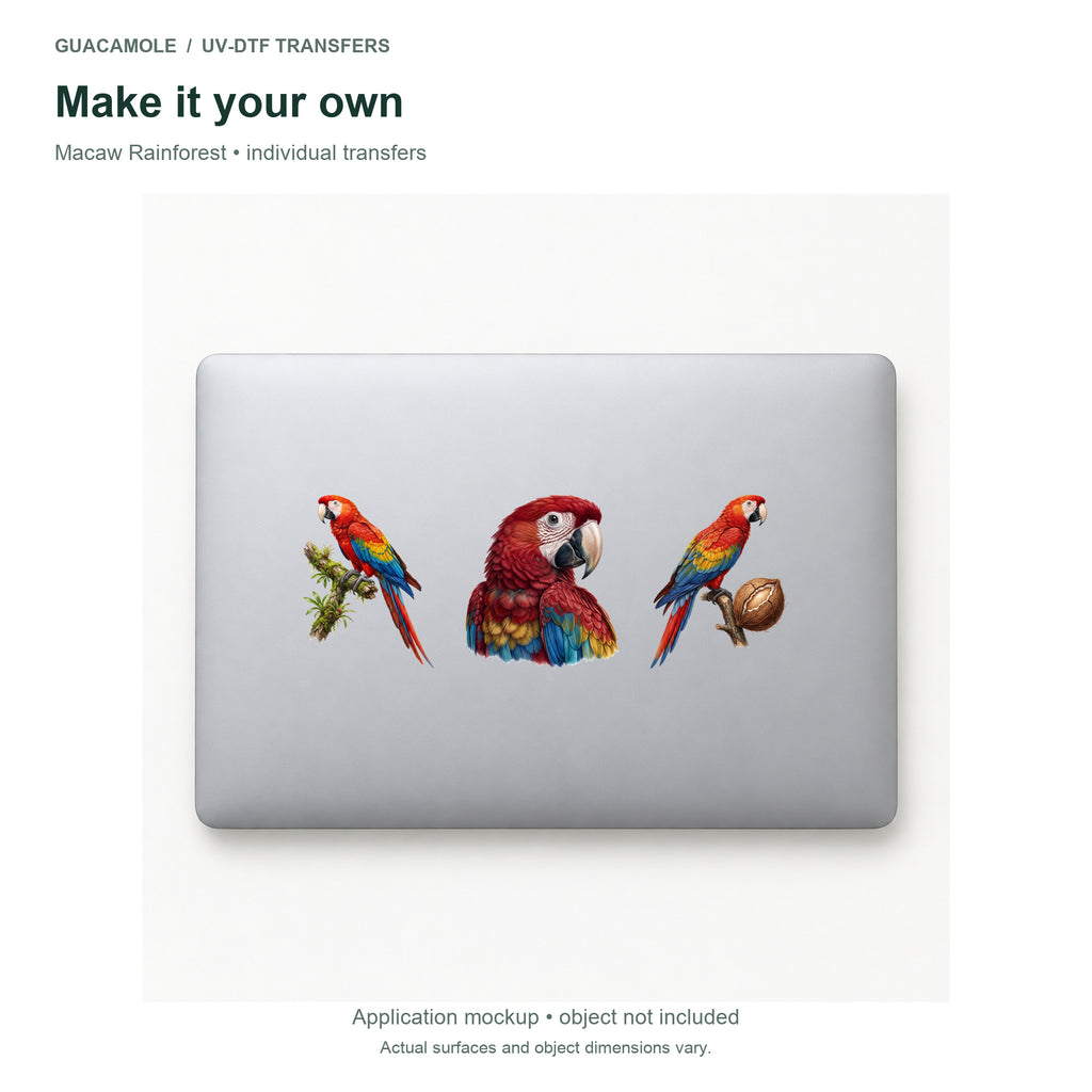 Macaw Rainforest — Three designs on a laptop