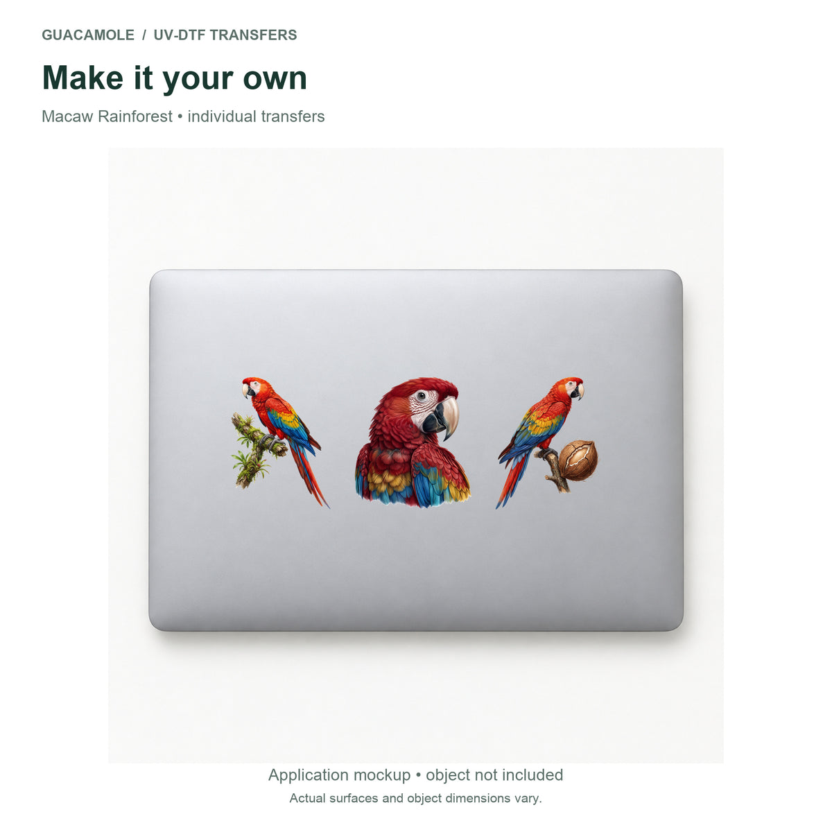 Macaw Rainforest — Three designs on a laptop