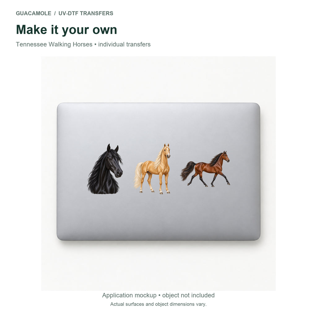 Tennessee Walking Horses — Three designs on a laptop
