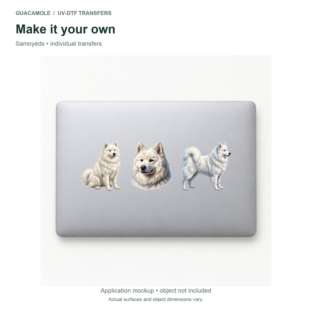 Samoyeds — Three designs on a laptop