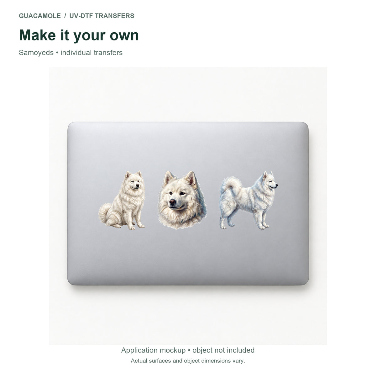 Samoyeds — Three designs on a laptop