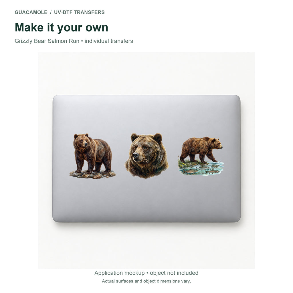 Grizzly Bear Salmon Run — Three designs on a laptop