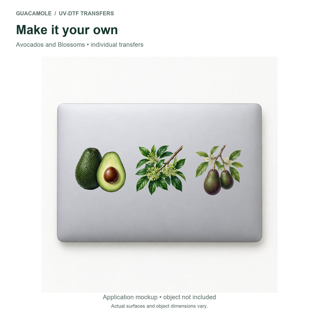Avocados and Blossoms — Three designs on a laptop