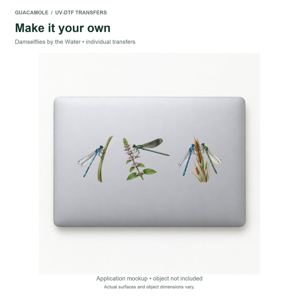 Damselflies by the Water — Three designs on a laptop