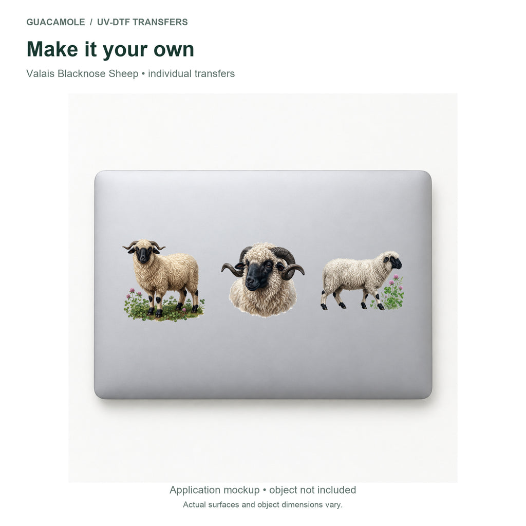 Valais Blacknose Sheep — Three designs on a laptop