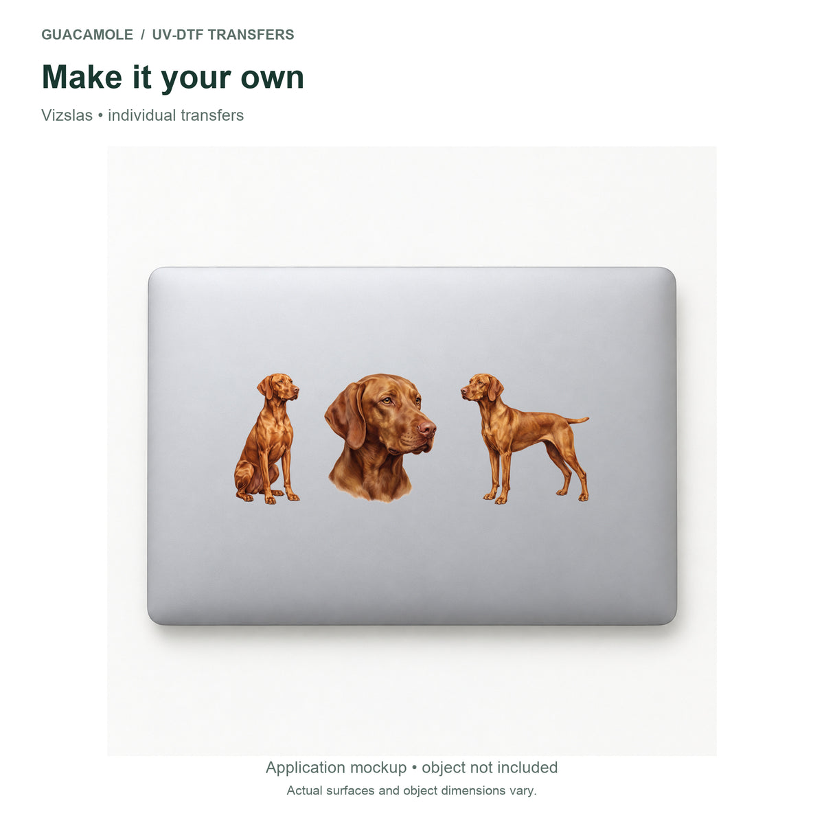 Vizslas — Three designs on a laptop