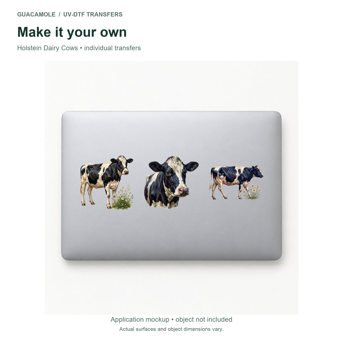 Holstein Dairy Cows — Three designs on a laptop