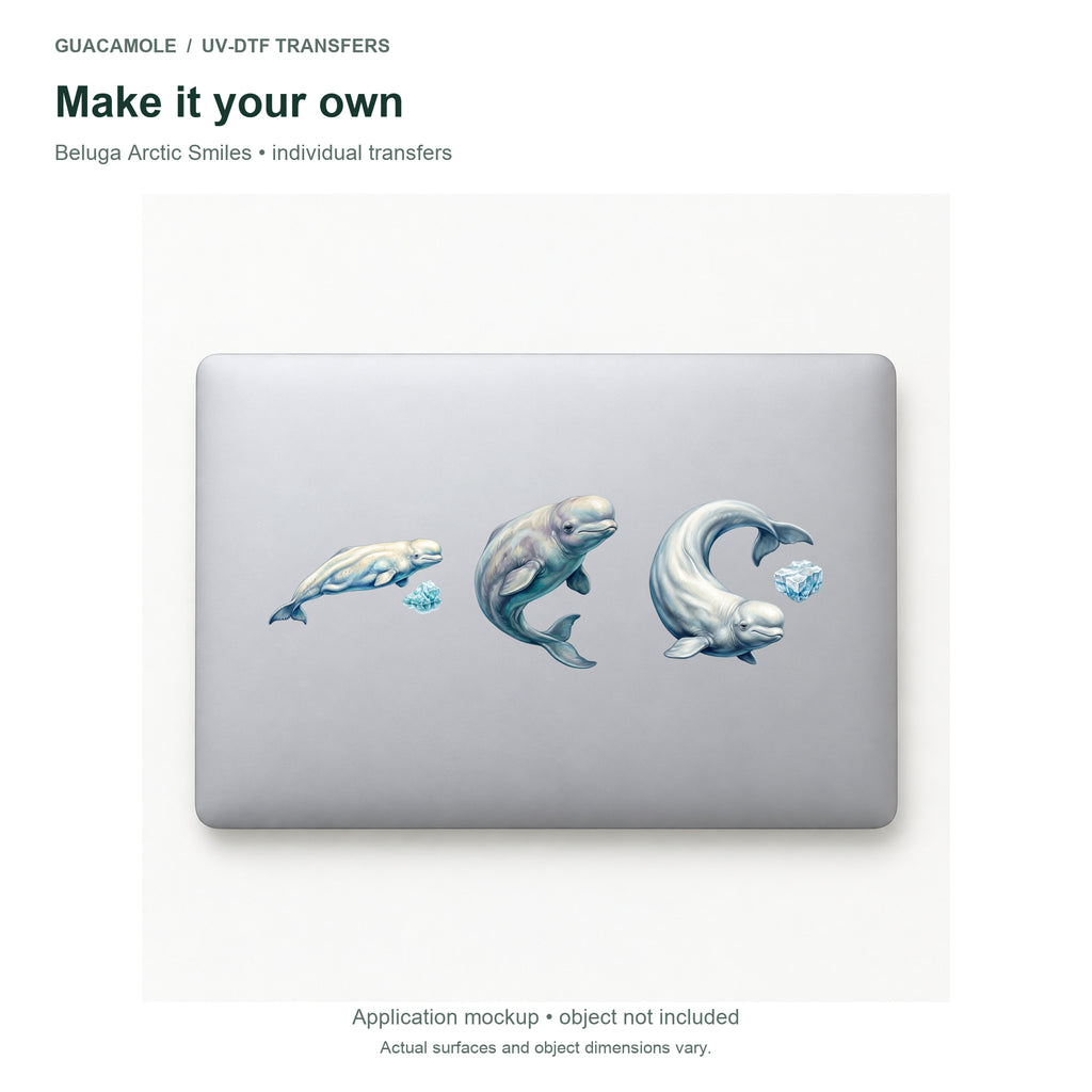 Beluga Arctic Smiles — Three designs on a laptop