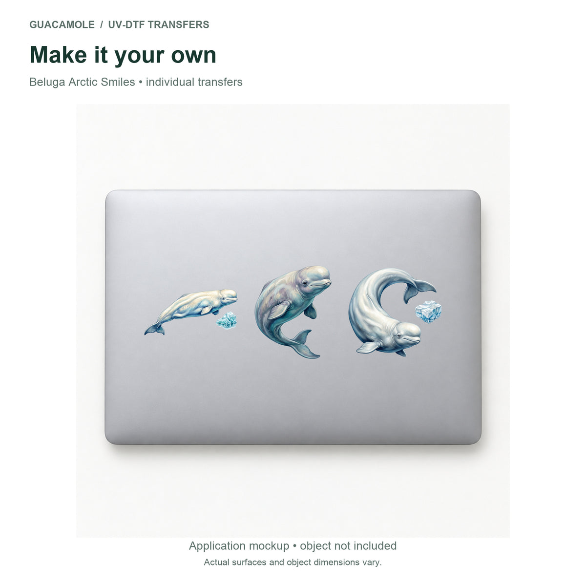 Beluga Arctic Smiles — Three designs on a laptop