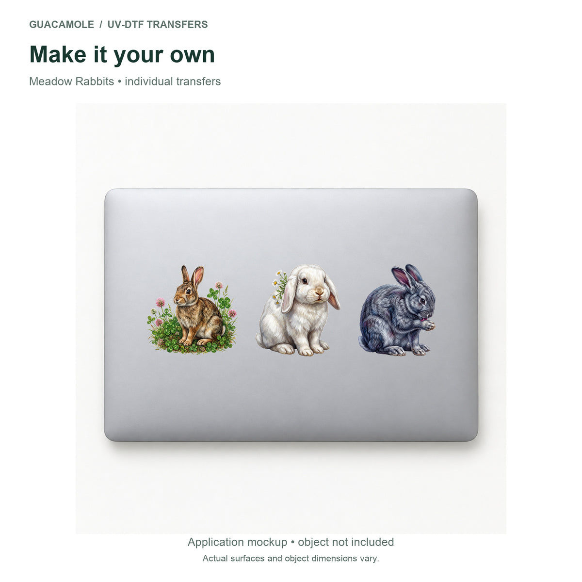 Meadow Rabbits — Three designs on a laptop