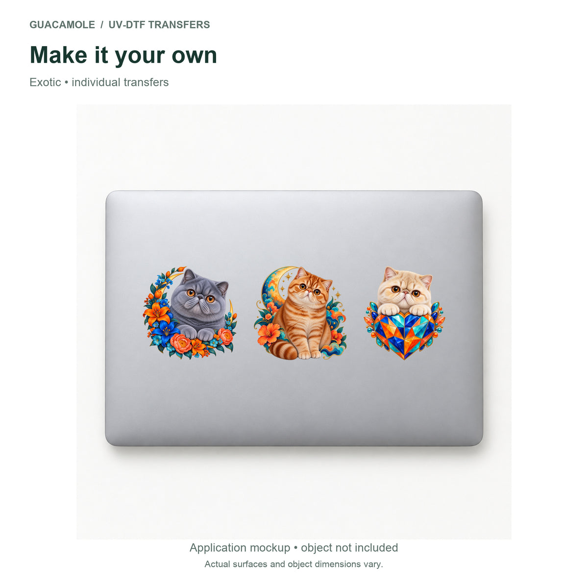 Exotic — Three designs on a laptop