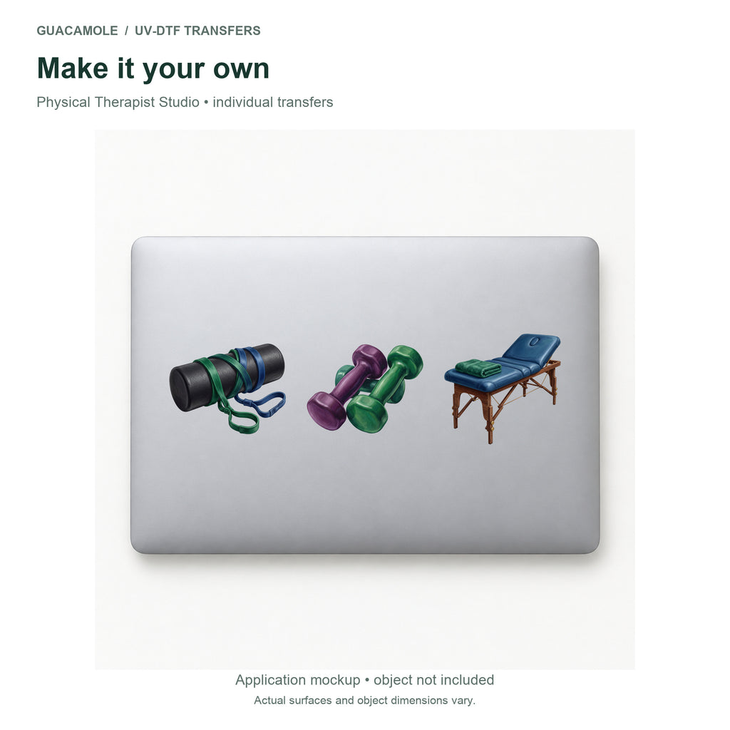 Physical Therapist Studio — Three designs on a laptop