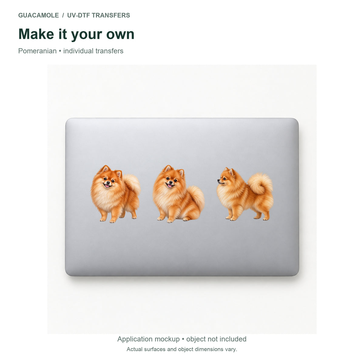 Pomeranian — Three designs on a laptop