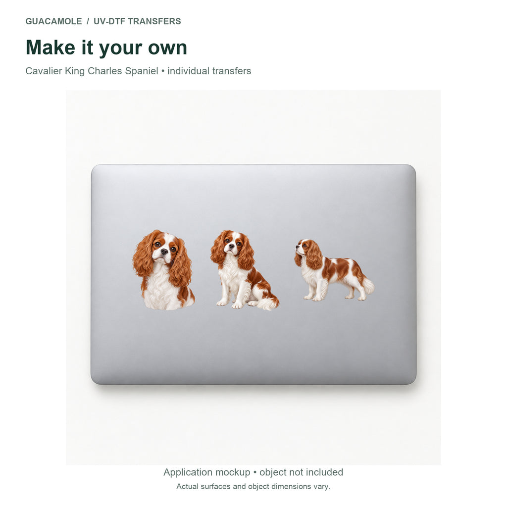 Cavalier King Charles Spaniel — Three designs on a laptop