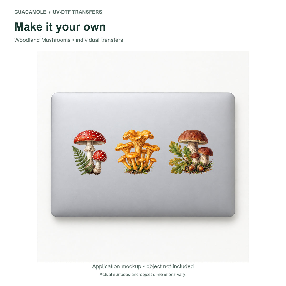 Woodland Mushrooms — Three designs on a laptop