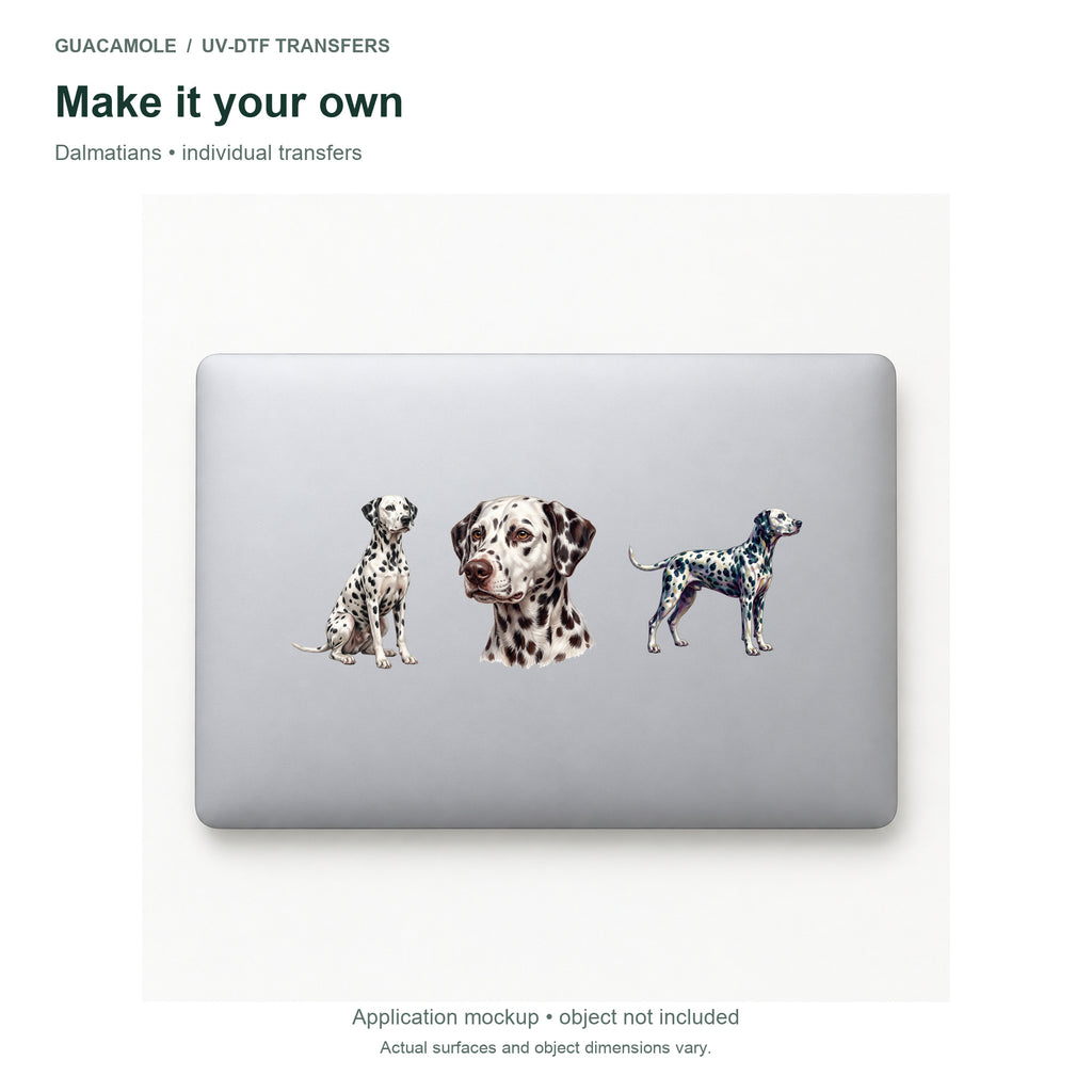 Dalmatians — Three designs on a laptop