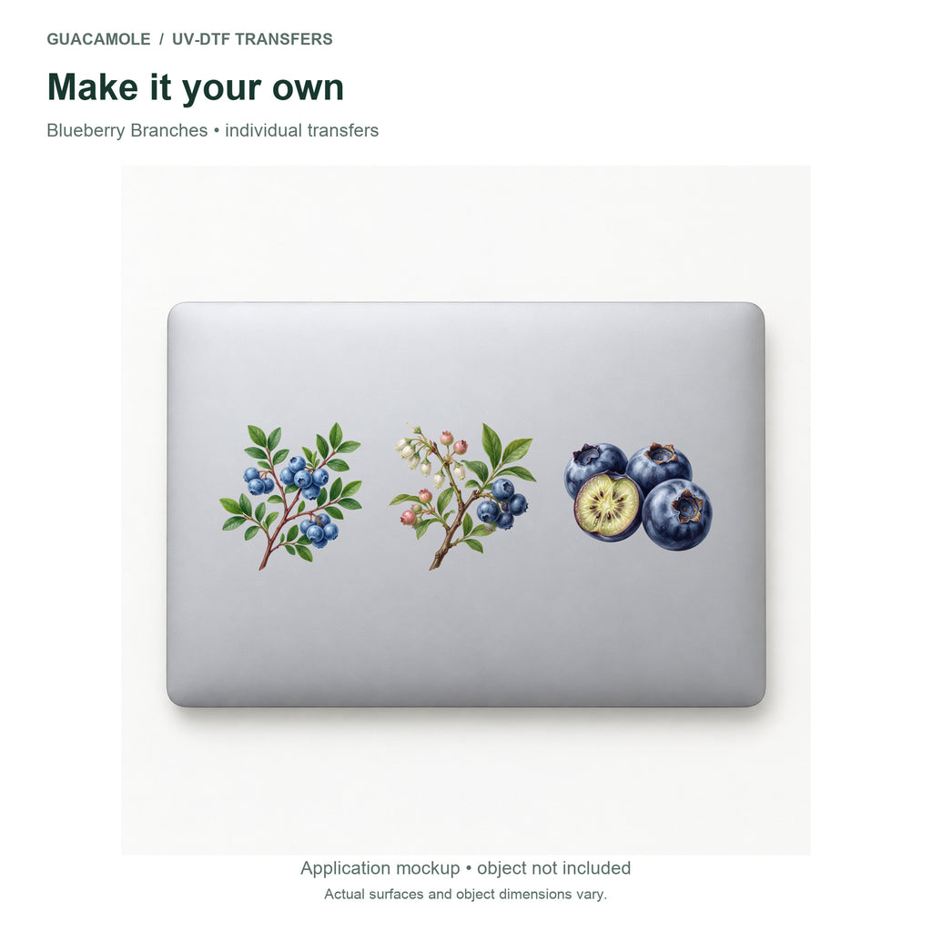 Blueberry Branches — Three designs on a laptop