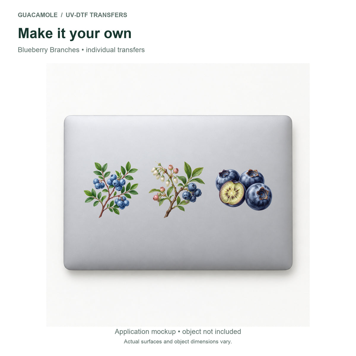 Blueberry Branches — Three designs on a laptop