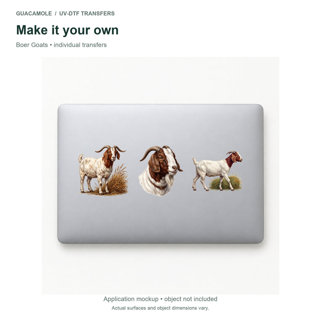 Boer Goats — Three designs on a laptop