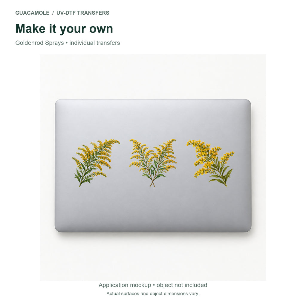 Goldenrod Sprays — Three designs on a laptop