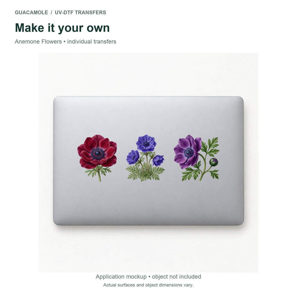 Anemone Flowers — Three designs on a laptop